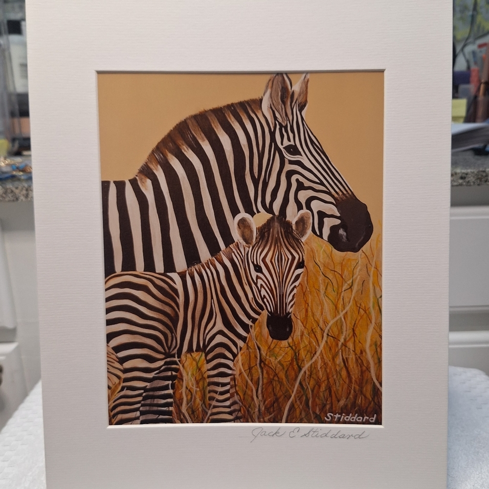 Mama & Baby Zebra Art Painting - By Jack E. Stiddard 8x10 On 11x14 Mat